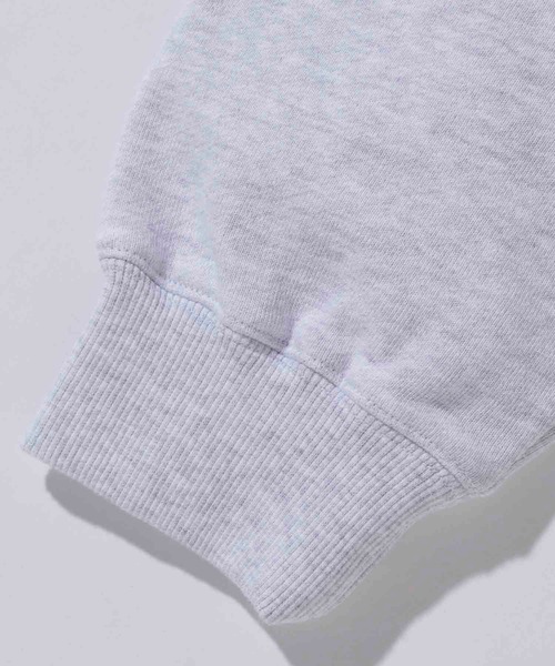XLARGE(エクストララージ)の「COLLEGE LOGO HOODED SWEATSHIRT(スウェット・メンズ・ブラック/アッシュ/ブラウン・XL/S/L/M)」の7枚目の写真