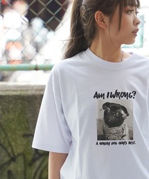 【unisex】転写プリント Tシャツ / パグ プリントTシャツ 犬柄 ルーズシルエット メンズ レディース