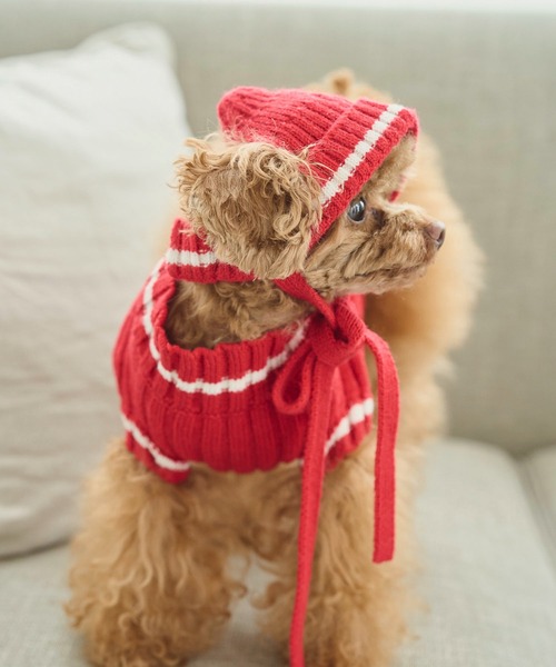 ROPE' PICNIC（ロペピクニック）の「【DOG】リブ切り替えニットワッチ（ペットウェア・レディース・ホワイト系その他5/ブルー系その他/レッド系その他・FREE）」の3枚目の写真