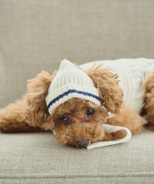 ROPE' PICNIC（ロペピクニック）の「【DOG】リブ切り替えニットワッチ（ペットウェア・レディース・ホワイト系その他5/ブルー系その他/レッド系その他・FREE）」の2枚目の写真