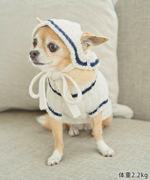ROPE' PICNIC（ロペピクニック）の「【DOG】リブ切り替えニットワッチ（ペットウェア・レディース・ホワイト系その他5/ブルー系その他/レッド系その他・FREE）」の4枚目の写真