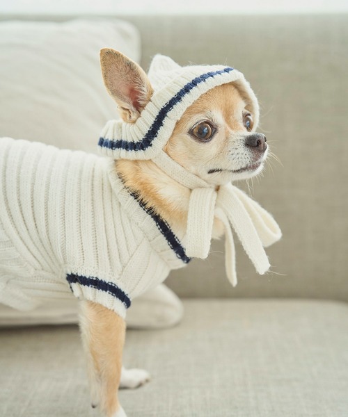 ROPE' PICNIC（ロペピクニック）の「【DOG】リブ切り替えニットワッチ（ペットウェア・レディース・ホワイト系その他5/ブルー系その他/レッド系その他・FREE）」の5枚目の写真