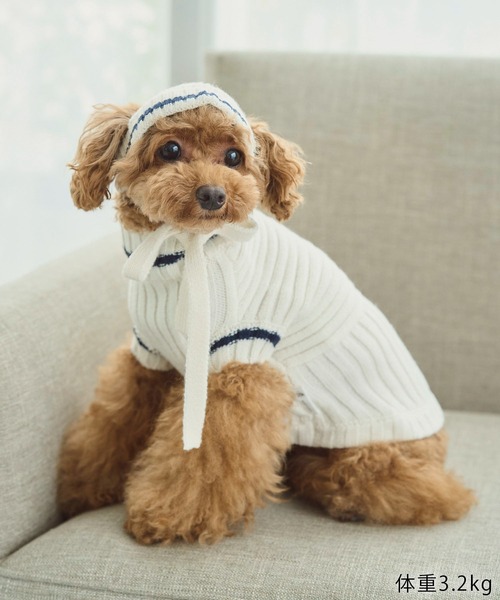 ROPE' PICNIC（ロペピクニック）の「【DOG】リブ切り替えニットワッチ（ペットウェア・レディース・ホワイト系その他5/ブルー系その他/レッド系その他・FREE）」の6枚目の写真