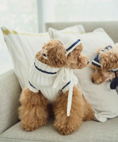 ROPE' PICNIC（ロペピクニック）の「【DOG】リブ切り替えニットワッチ（ペットウェア・レディース・ホワイト系その他5/ブルー系その他/レッド系その他・FREE）」の7枚目の写真
