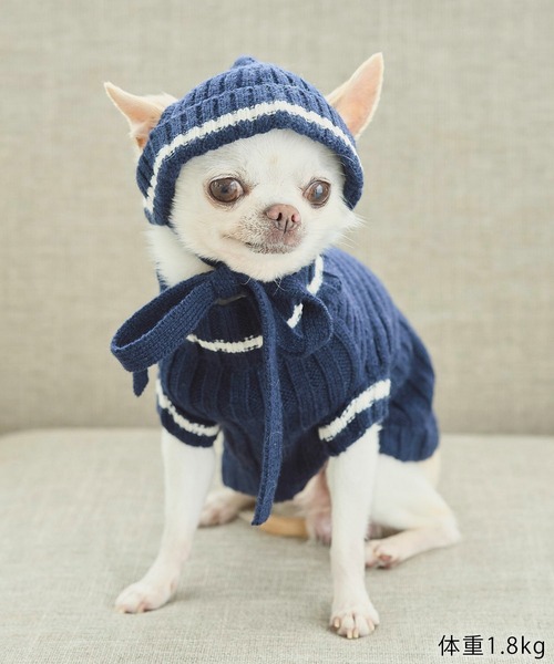 ROPE' PICNIC（ロペピクニック）の「【DOG】リブ切り替えニットワッチ（ペットウェア・レディース・ホワイト系その他5/ブルー系その他/レッド系その他・FREE）」の8枚目の写真
