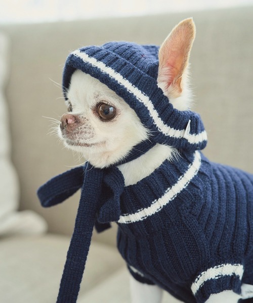 ROPE' PICNIC（ロペピクニック）の「【DOG】リブ切り替えニットワッチ（ペットウェア・レディース・ホワイト系その他5/ブルー系その他/レッド系その他・FREE）」の9枚目の写真
