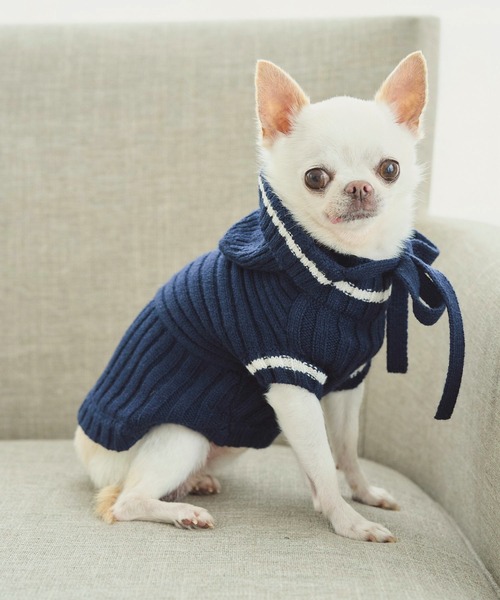 ROPE' PICNIC（ロペピクニック）の「【DOG】リブ切り替えニットワッチ（ペットウェア・レディース・ホワイト系その他5/ブルー系その他/レッド系その他・FREE）」の11枚目の写真