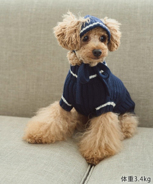ROPE' PICNIC（ロペピクニック）の「【DOG】リブ切り替えニットワッチ（ペットウェア・レディース・ホワイト系その他5/ブルー系その他/レッド系その他・FREE）」の12枚目の写真