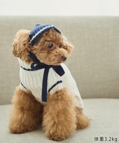 ROPE' PICNIC（ロペピクニック）の「【DOG】リブ切り替えニットワッチ（ペットウェア・レディース・ホワイト系その他5/ブルー系その他/レッド系その他・FREE）」の13枚目の写真