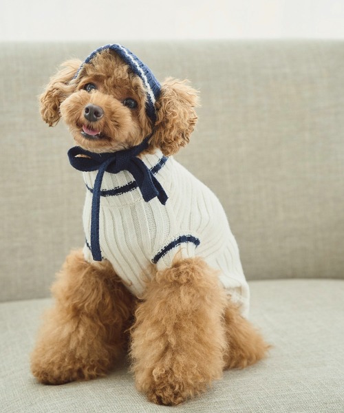 ROPE' PICNIC（ロペピクニック）の「【DOG】リブ切り替えニットワッチ（ペットウェア・レディース・ホワイト系その他5/ブルー系その他/レッド系その他・FREE）」の14枚目の写真