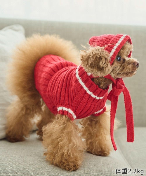 ROPE' PICNIC（ロペピクニック）の「【DOG】リブ切り替えニットワッチ（ペットウェア・レディース・ホワイト系その他5/ブルー系その他/レッド系その他・FREE）」の15枚目の写真