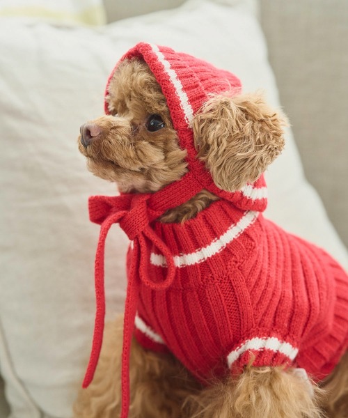 ROPE' PICNIC（ロペピクニック）の「【DOG】リブ切り替えニットワッチ（ペットウェア・レディース・ホワイト系その他5/ブルー系その他/レッド系その他・FREE）」の16枚目の写真