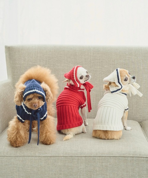 ROPE' PICNIC（ロペピクニック）の「【DOG】リブ切り替えニットワッチ（ペットウェア・レディース・ホワイト系その他5/ブルー系その他/レッド系その他・FREE）」の19枚目の写真