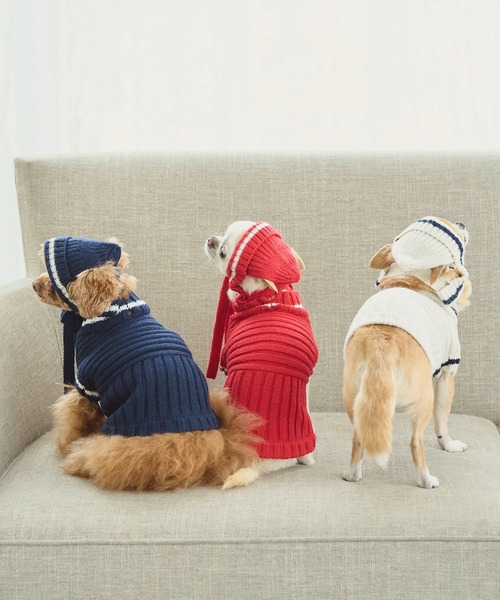 ROPE' PICNIC（ロペピクニック）の「【DOG】リブ切り替えニットワッチ（ペットウェア・レディース・ホワイト系その他5/ブルー系その他/レッド系その他・FREE）」の20枚目の写真