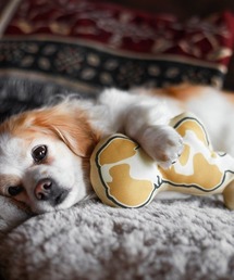 POST GENERAL（ポストジェネラル）の「【DOGS FOR PEACE /ドッグス フォー ピース】ドッグ アイコン抱き枕 /#DFP 034（ペット用クッション/マット・メンズ）」