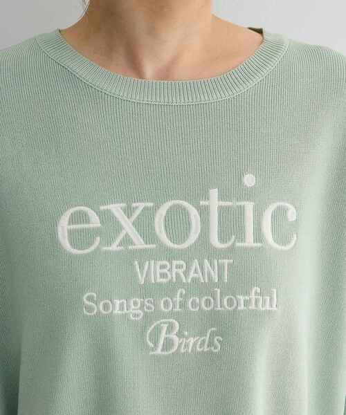 ELENCARE DUE（エレンカーレデュエ）の「・ELENCARE DUE ロゴ刺繍6分袖ニット（Tシャツ/カットソー・レディース・ライトグレー/ブラック/オフホワイト/グリーン・FREE）」の13枚目の写真