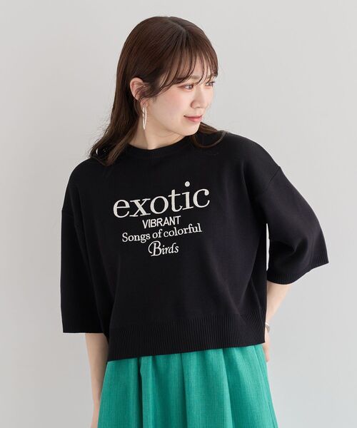 ELENCARE DUE（エレンカーレデュエ）の「・ELENCARE DUE ロゴ刺繍6分袖ニット（Tシャツ/カットソー・レディース・ライトグレー/ブラック/オフホワイト/グリーン・FREE）」の21枚目の写真