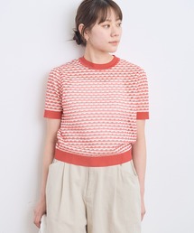 AMBIDEX | タックボーダー コンパクトプルオーバー(ニット/セーター)