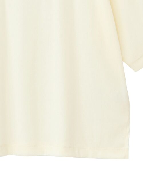 earth music&ecology（アースミュージックアンドエコロジー）の「シアーベロアTee（Tシャツ/カットソー・レディース・ブルー/チャコールグレー/ブラック/アイボリー・FREE）」の8枚目の写真