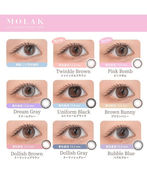 MOLAK（モラク）の「【水光カラコン】MOLAK 1DAY 10枚入り ドーリッシュブラウン（コンタクトレンズ・カラコン・レディース・ブラウン・±0.00/-0.50/-0.75/-1.00/-1.25/-1.50/-1.75/-2.00/-2.25/-2.50/-2.75/-3.00/-3.25/-3.50/-3.75/-4.00/-4.25/-4.50/-4.75/-5.00/-5.25/-5.50/-5.75/-6.00/-6.50/-7.00/-7.50/-8.00/-8.50/-9.00/-9.50/-10.00）」の4枚目の写真