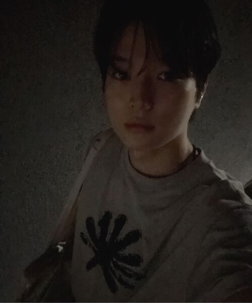 DANDEL（ダンデル）の「DD symbol applique tee (GREY)（Tシャツ/カットソー・レディース・その他・2/1）」の8枚目の写真