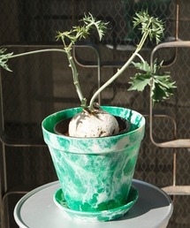 DULTON(ダルトン)の【5号】SPLASH POT L/メラミン プランター 植木鉢(フラワーベース)