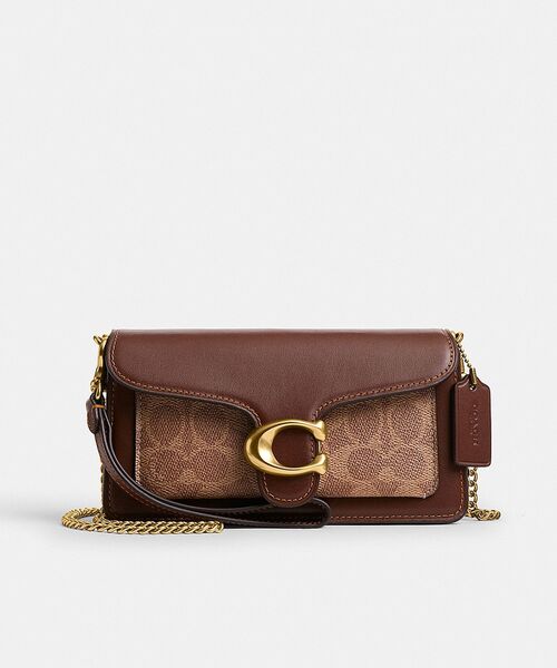 タビー チェーン クロスボディ バッグ 19・シグネチャー キャンバス