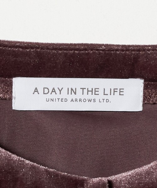A DAY IN THE LIFE UNITED ARROWS(アデイインザライフユナイテッドアローズ)の「ベロア エンブロイダリー カーディガン <A DAY IN THE LIFE>(カーディガン/ボレロ・レディース・ブラック/ブラウン系・FREE)」の11枚目の写真