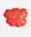 marimekko�i�}�����b�R�j�́uUnikko / Small plate 9,5cm red�i�H��j�v�b���b�h