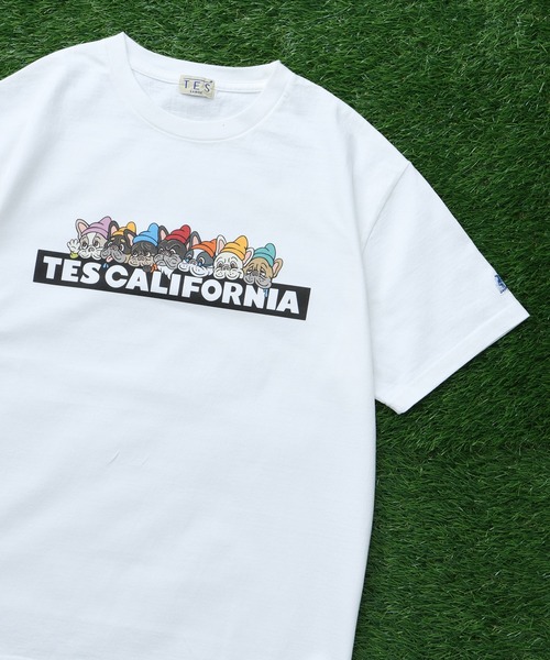 完全生産限定盤 エンドレスサマー 40th アニバーサリーBOX　Ｔシャツ付 TES SEVENS BUHI BOX LOGO T-SHIRT/ Tシャツ（Tシャツ/カットソー