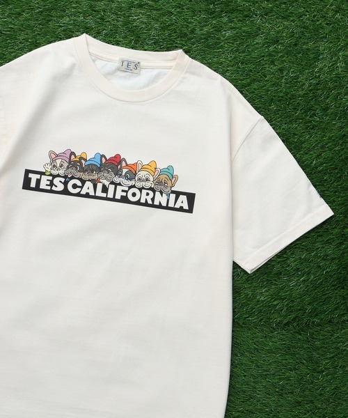 The Endless Summer(エンドレスサマー)の「TES SEVENS BUHI BOX LOGO T-SHIRT/ Tシャツ(Tシャツ/カットソー・メンズ・ブラック/アイボリー/グレー/ホワイト/ネイビー・SMALL/MEDIUM/LARGE/X-LARGE/XX-LARGE)」の3枚目の写真