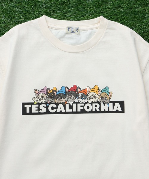 The Endless Summer(エンドレスサマー)の「TES SEVENS BUHI BOX LOGO T-SHIRT/ Tシャツ(Tシャツ/カットソー・メンズ・ブラック/アイボリー/グレー/ホワイト/ネイビー・SMALL/MEDIUM/LARGE/X-LARGE/XX-LARGE)」の11枚目の写真