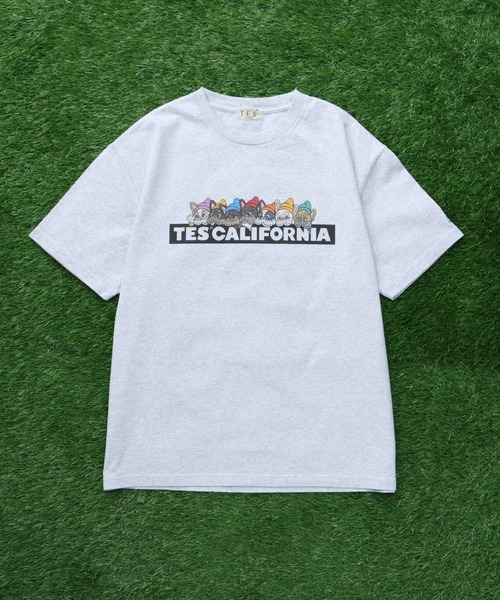 The Endless Summer(エンドレスサマー)の「TES SEVENS BUHI BOX LOGO T-SHIRT/ Tシャツ(Tシャツ/カットソー・メンズ・ブラック/アイボリー/グレー/ホワイト/ネイビー・SMALL/MEDIUM/LARGE/X-LARGE/XX-LARGE)」の15枚目の写真
