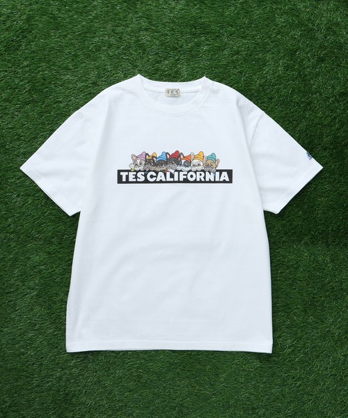 The Endless Summer(エンドレスサマー)の「TES SEVENS BUHI BOX LOGO T-SHIRT/ Tシャツ(Tシャツ/カットソー・メンズ・ブラック/アイボリー/グレー/ホワイト/ネイビー・SMALL/MEDIUM/LARGE/X-LARGE/XX-LARGE)」の6枚目の写真