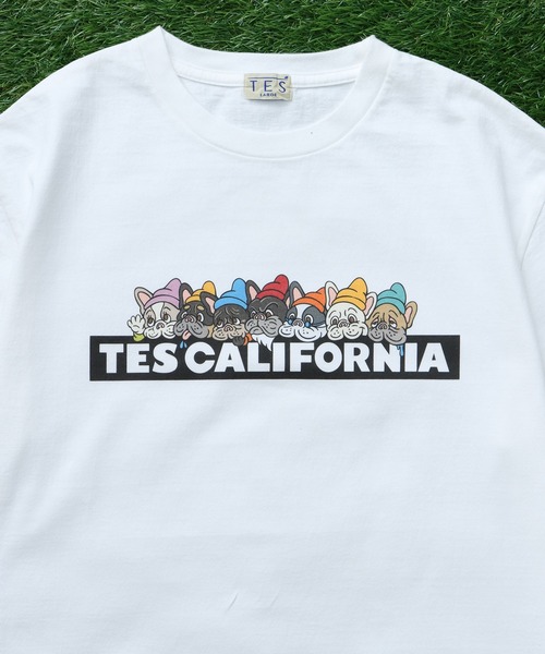 The Endless Summer(エンドレスサマー)の「TES SEVENS BUHI BOX LOGO T-SHIRT/ Tシャツ(Tシャツ/カットソー・メンズ・ブラック/アイボリー/グレー/ホワイト/ネイビー・SMALL/MEDIUM/LARGE/X-LARGE/XX-LARGE)」の8枚目の写真