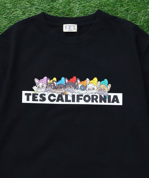 The Endless Summer(エンドレスサマー)の「TES SEVENS BUHI BOX LOGO T-SHIRT/ Tシャツ(Tシャツ/カットソー・メンズ・ブラック/アイボリー/グレー/ホワイト/ネイビー・SMALL/MEDIUM/LARGE/X-LARGE/XX-LARGE)」の14枚目の写真