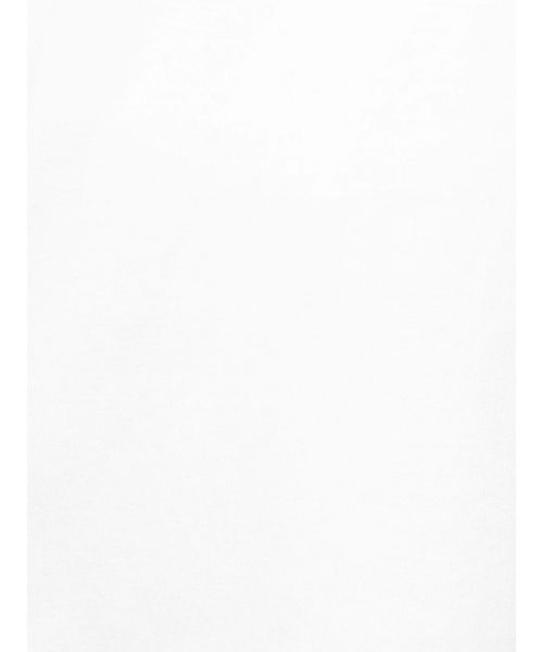 Ungrid（アングリッド）の「オーガニックコットンTee（Tシャツ/カットソー・レディース・ブラック/パープル/モカ/オフホワイト・FREE）」の13枚目の写真
