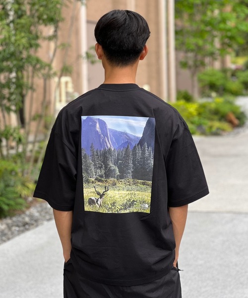THE NORTH FACE】S/S Yosemite Scenery Tee ショートスリーブ