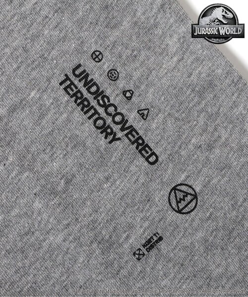 F.O.KIDS（エフオーキッズ）の「【ジュラシックワールド】長袖Tシャツ（Tシャツ/カットソー・キッズ・ブラック/レッド/グレー・100/90/80/120/110/140/130）」の18枚目の写真
