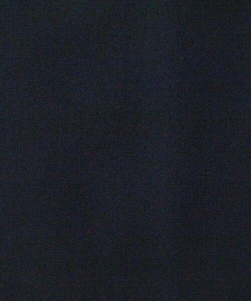 NOLLEY’S(ノーリーズ)の「ウォッシャブル裏起毛イージーワイドパンツ(その他パンツ・レディース・ネイビー/グレー/オフホワイト/ブラック・40/38/36/34)」の8枚目の写真