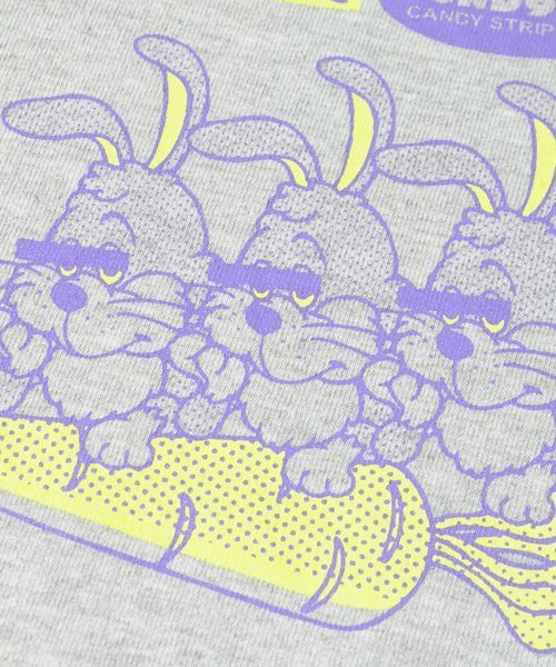 Candy Stripper(キャンディストリッパー)の「CND & BUNNYS L/S Tシャツ(Tシャツ/カットソー・レディース・グレー/オフホワイト/ピンク・2)」の10枚目の写真
