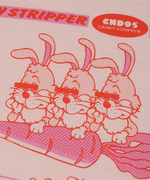 Candy Stripper(キャンディストリッパー)の「CND & BUNNYS L/S Tシャツ(Tシャツ/カットソー・レディース・グレー/オフホワイト/ピンク・2)」の19枚目の写真