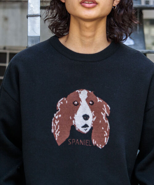 GLOSTER（グロスター）の「【GLOSTER/グロスター】DOG&CAT 犬猫 ジャガードニットプルオーバー（ニット/セーター・メンズ・グレー/アイボリー/ブラック・S/M/L）」の12枚目の写真