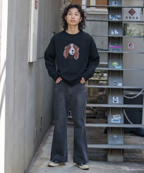 GLOSTER（グロスター）の「【GLOSTER/グロスター】DOG&CAT 犬猫 ジャガードニットプルオーバー（ニット/セーター・メンズ・グレー/アイボリー/ブラック・S/M/L）」の18枚目の写真