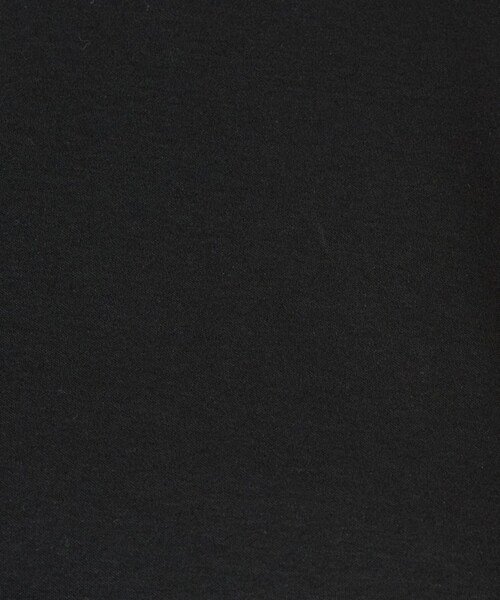 UNTITLED(アンタイトル)の「◆【接触冷感/抗菌防臭/洗える】アイスクリアコットン 5分袖Tシャツ(Tシャツ/カットソー・レディース・オフホワイト/チャコールグレー/ブラック・00/02/04/44/48/50)」の6枚目の写真