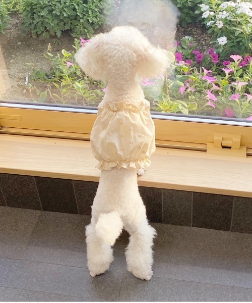 Ramune's closet】ころころポップコーンキャミ(ナチュラル花柄刺繍)/犬