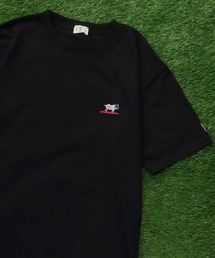 TES ORGANIC COTTON HUNTINGTON BIG T-SHIRT / オーガニックコットンビッグT