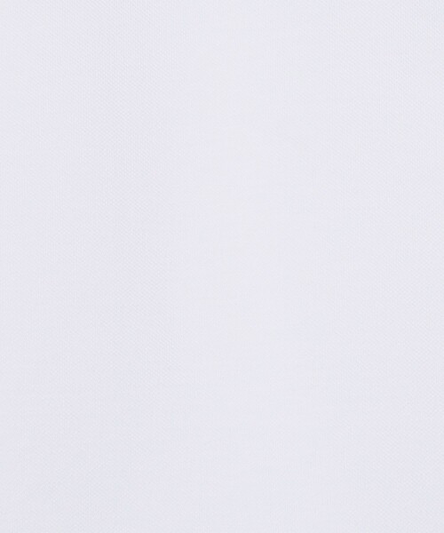 SUNSPEL（サンスペル）の「SUNSPELコットン ピケポロシャツ（ポロシャツ・メンズ・ネイビー/ホワイト/レッド系その他/グリーン/ダークブルー/ブルー・M/L/XL）」の16枚目の写真