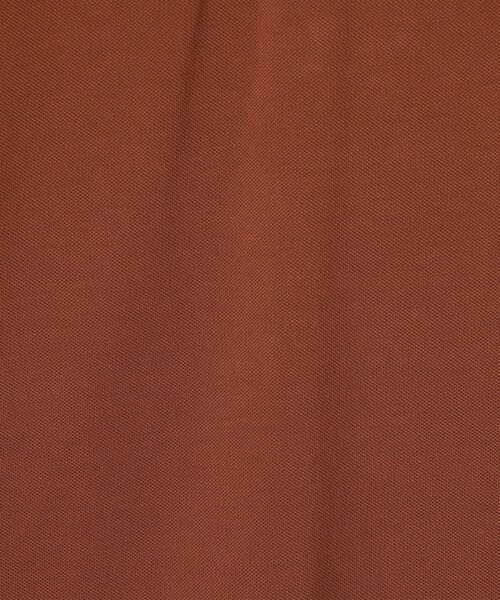 SUNSPEL（サンスペル）の「SUNSPELコットン ピケポロシャツ（ポロシャツ・メンズ・ネイビー/ホワイト/レッド系その他/グリーン/ダークブルー/ブルー・M/L/XL）」の17枚目の写真