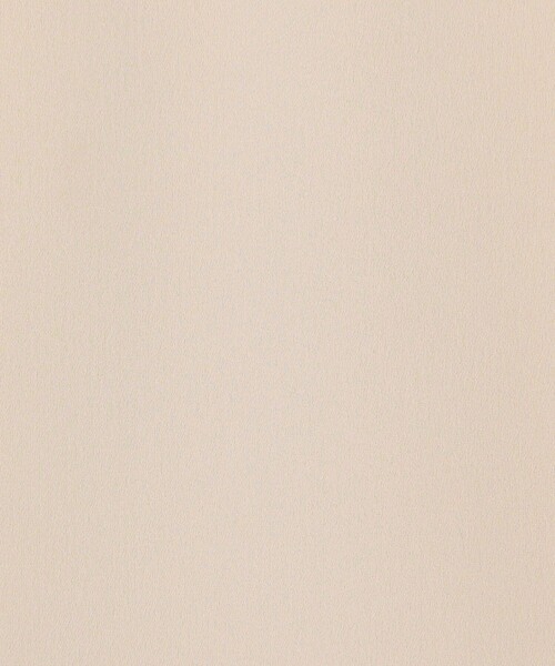 NOLLEY’S(ノーリーズ)の「オトナサテン半袖Tブラウス(シャツ/ブラウス・レディース・ホワイト/ネイビー/ベージュ/ブラック・36/38/40)」の19枚目の写真